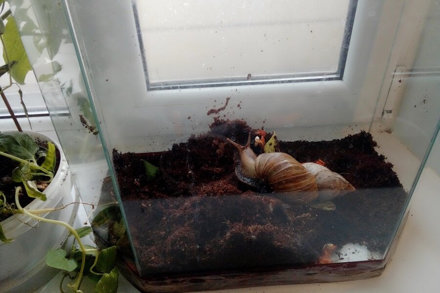 Все фотографии в публикации - авторские