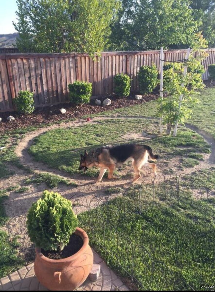 *Фото с просторов 