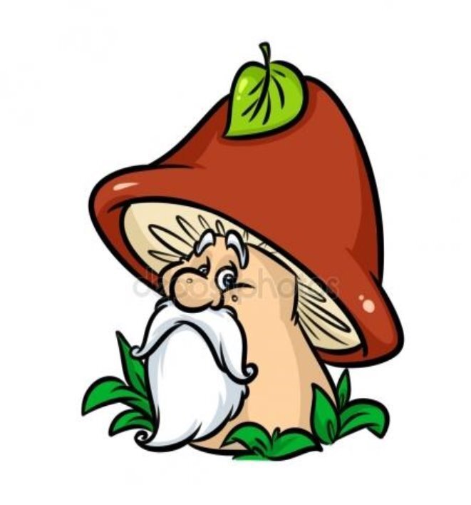 Смешные грибы картинки для детей