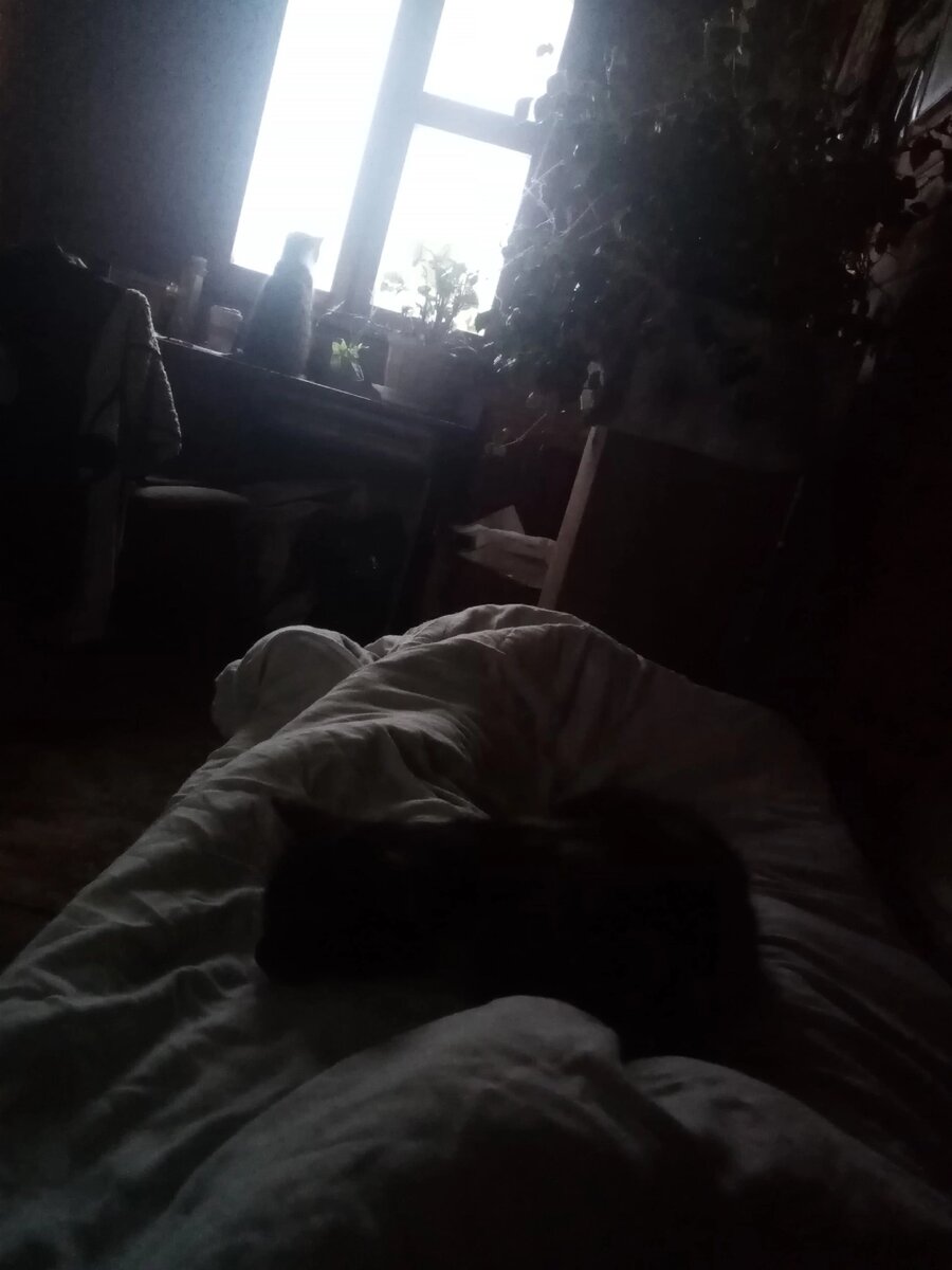 Гаечный ключ (у окна). Маня (в ногах). Такое утро.