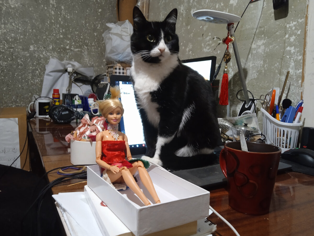 Наша Маля: "Я тут восседаю попой на компе. Ну и что прикольного в этой вот куклЕ?"