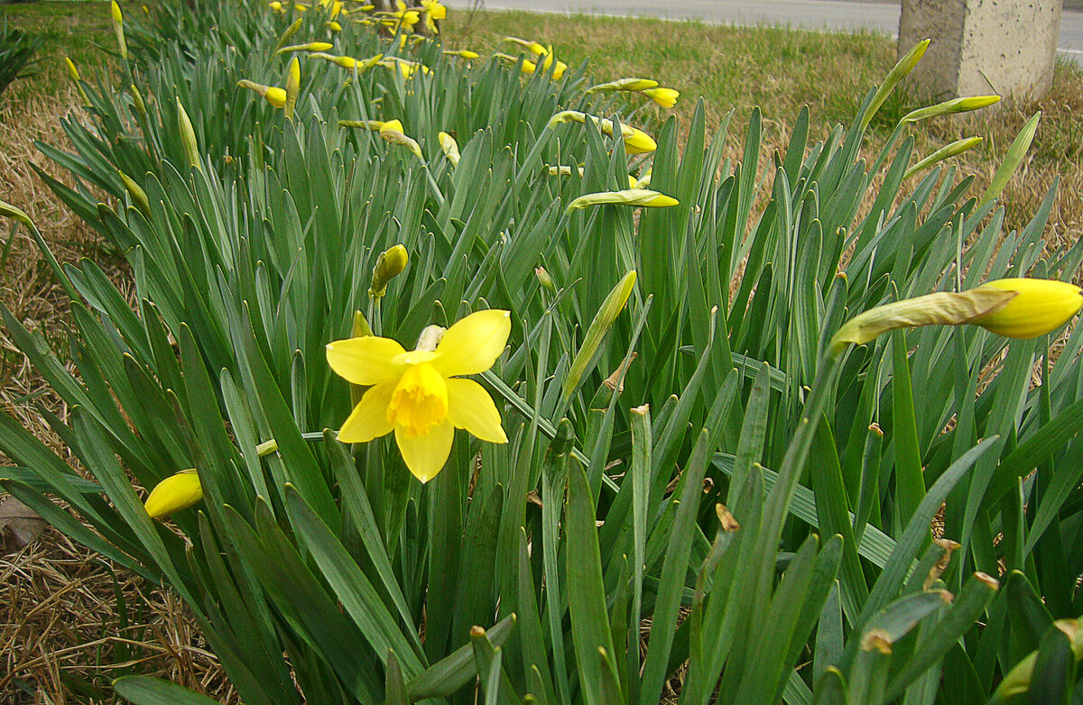 Фото с интернета