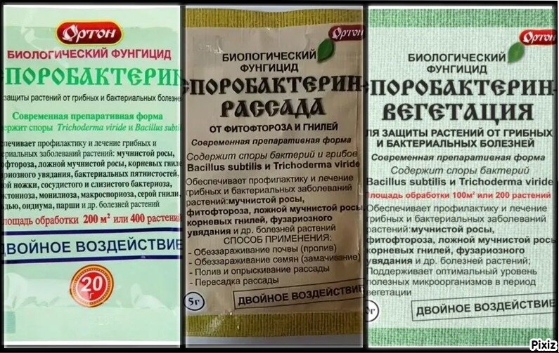 Вместе разбираемся в препарате Споробактерин | 🍎🌿Дачная пчелка🐝 | Дзен