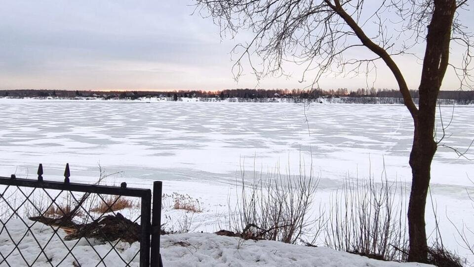 Фото: © СК России по Ярославской области