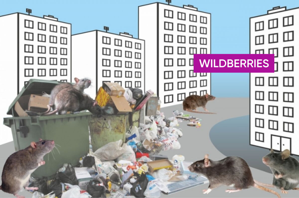 Адские условия труда, горы мусора и мышей на WB