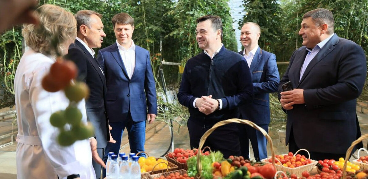   Московская область, Подмосковье, Андрей Воробьёв, губернатор