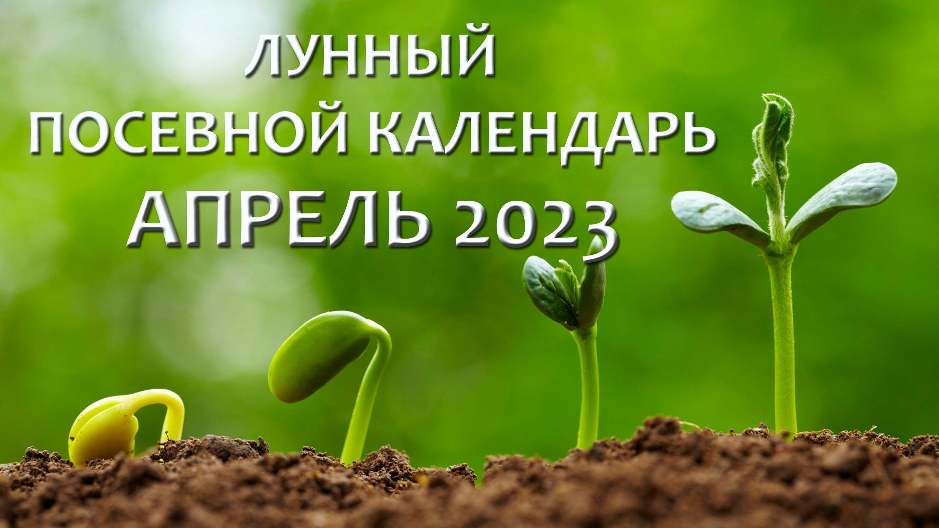 Посадки в апреле 2023 по лунному. Посевной календарь на апрель 2023. Лунный календарь садовода 2023. Лунный посевной календарь на апрель 2023. Лунный календарь 2023 огородника для посадки.