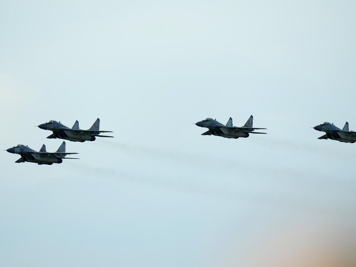    Истребителя МиГ-29 ВВС Словакии© AP Photo / Petr David Josek