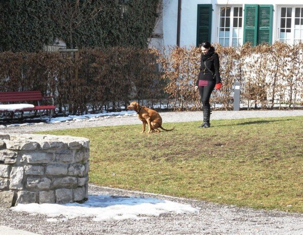 Такая вот максимально приличная картинка для иллюстрации