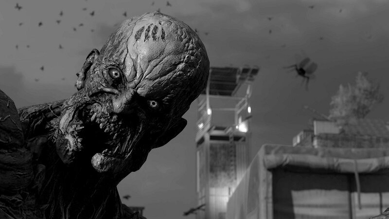  📷    Источник изображения: Techland