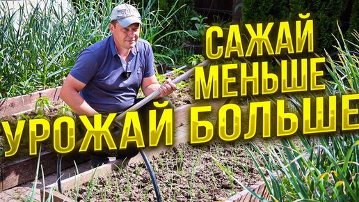 Tải video: хочешь получить урожай - сажай меньше, как посадить растения чтобы не полоть