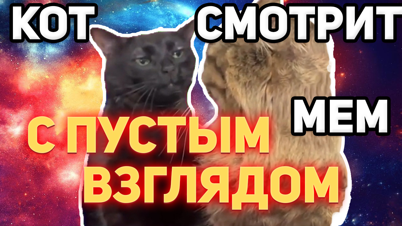 Кот думает #мемы #мем #рек #тренд #кот #meme #edit @mirashuklina - YouTube