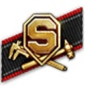 "Нашивка ветерана Супертеста"