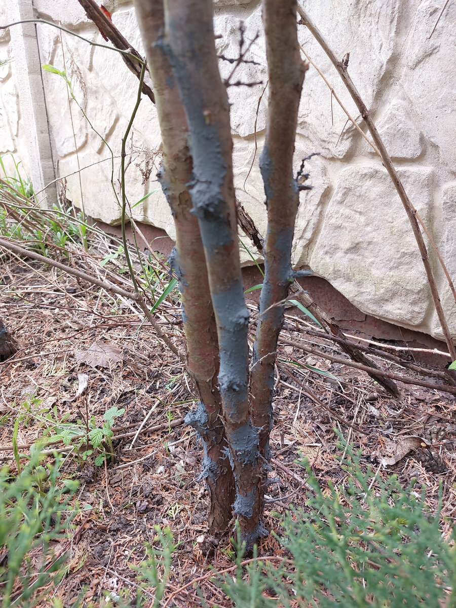 Авторское фото