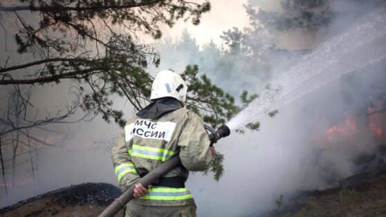    В Новосибирской области эвакуировали жителей деревни из-за ландшафтного пожара Даниил Шалонников