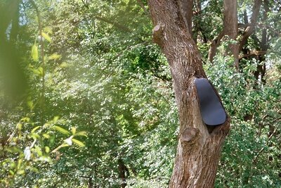    Сезонные работы по оздоровлению и восстановлению старовозрастных деревьев в музее-усадьбе Федора Достоевского «Даровое» в городском округе Зарайск © Пресс-служба Министерства культуры и туризма Московской области