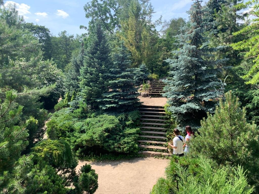 Аптекарский огород (фото автора)