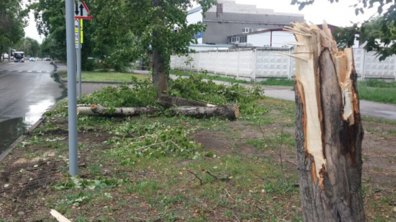     В Барнауле устранили последствия сильного ветра. barnaul.org