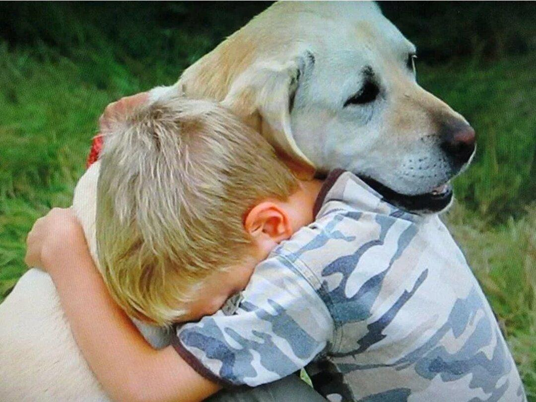 Собака и человек стали друзьями. Собака для детей. Собака друг человека. Любовь собаки к человеку. Домашние животные и человек.