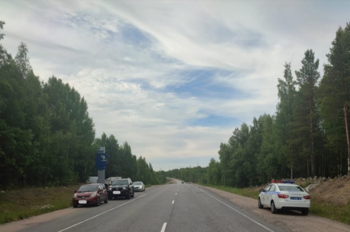    В РК машина насмерть сбила восьмилетнюю девочку, перебегавшую трассу