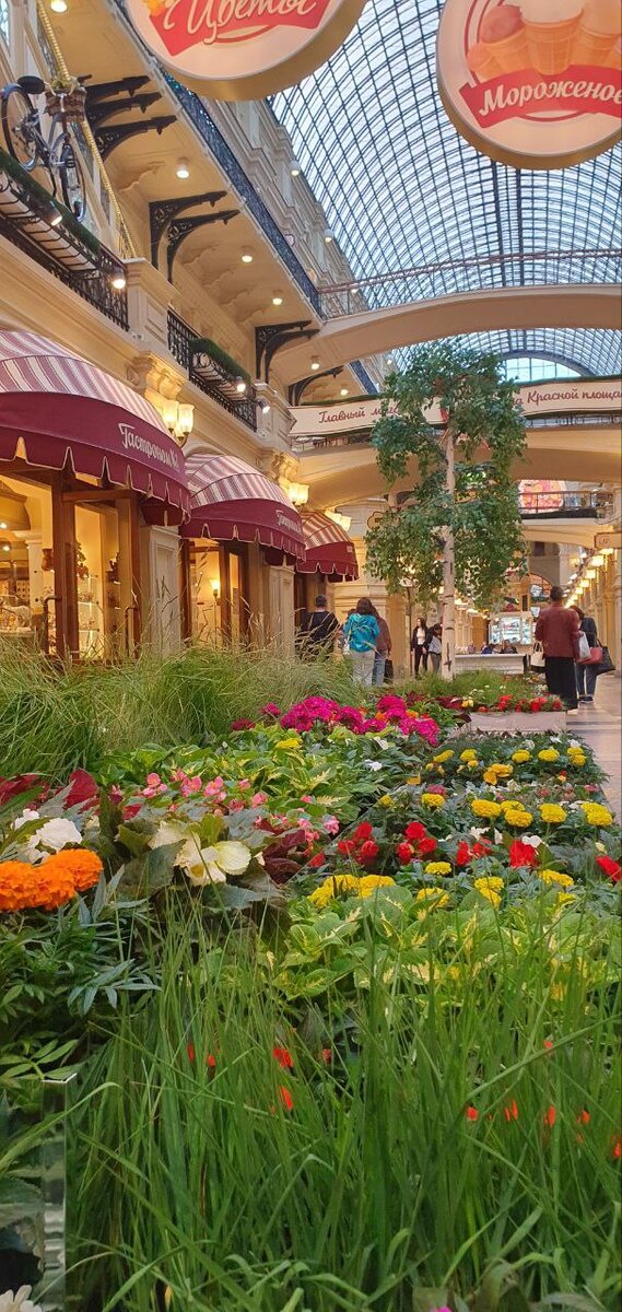 цветы - это украшение нашей жизни