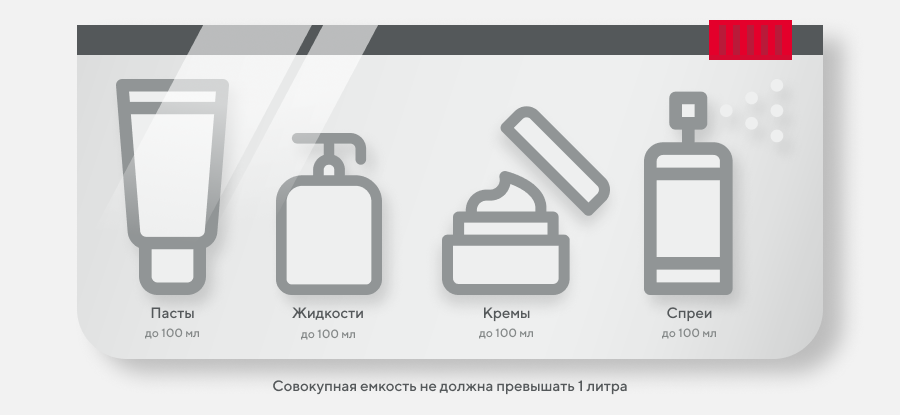 Жидкости в багаже самолета правила. Red Wings ручная кладь 2022. Емкости для ручной клади. Жидкость в ручной клади. Ред Вингс ручная кладь.