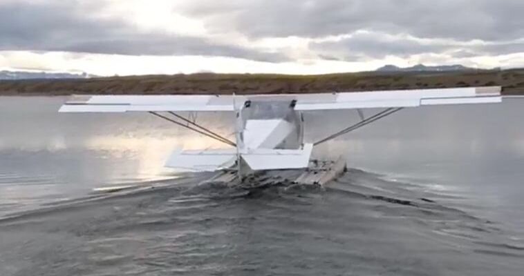 Фото: Елена Лаппо 