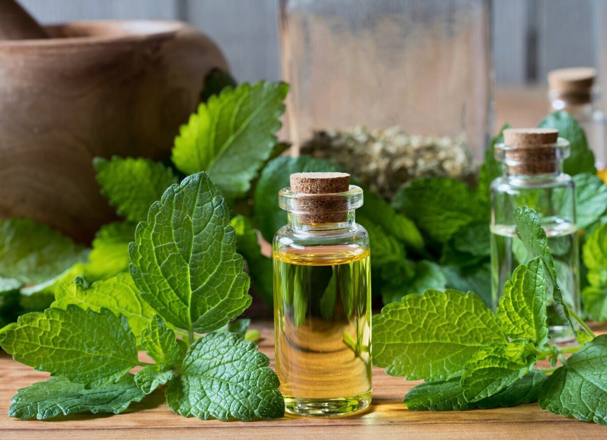 Экстракты добавлять. Розмариновое эфирное масло. Экстракты добавлять. Настой и экстракт это. Жидкие экстракты.