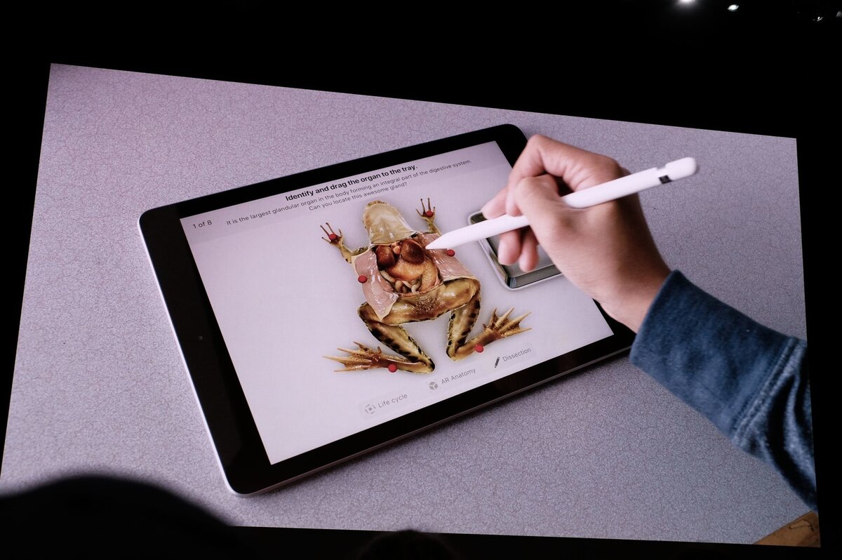Рисунки с ipad