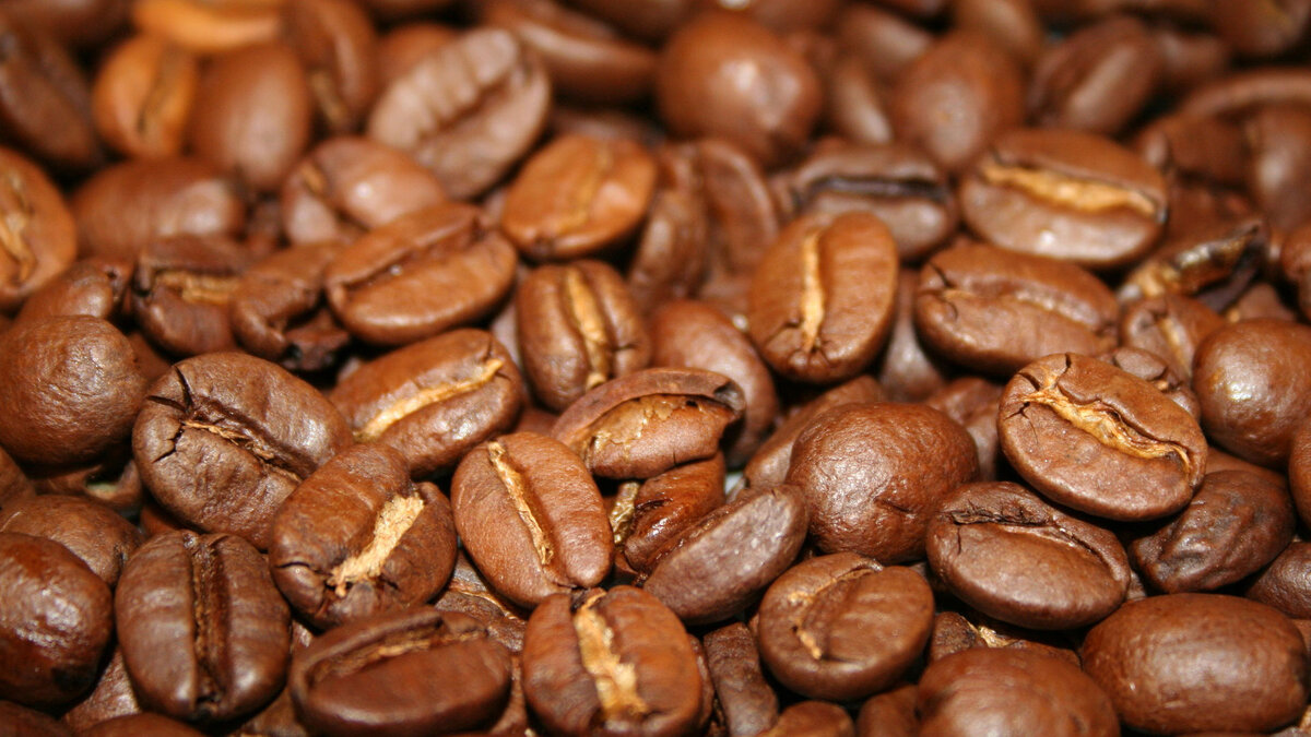 Фото взято с сайта "fullhdwallpapers.ru"