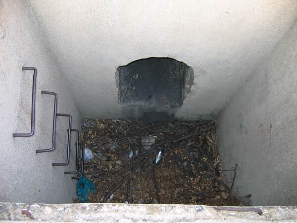  Зато попасть внутрь можно через вентиляционную шахту