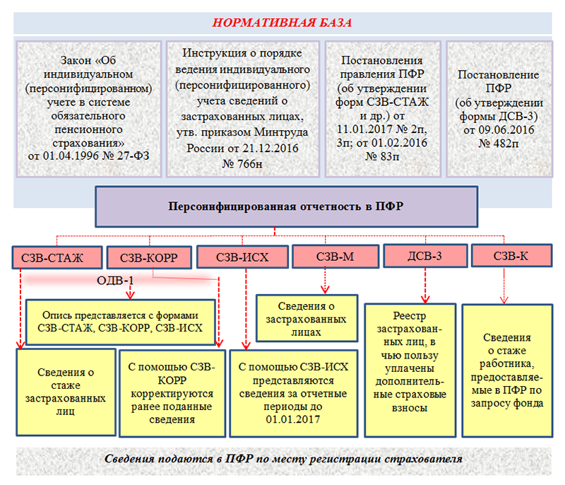 Отчеты январь 2023 года