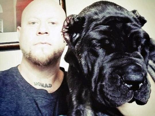  Анна ДЖЕДЖУЛА, «ФАКТЫ»