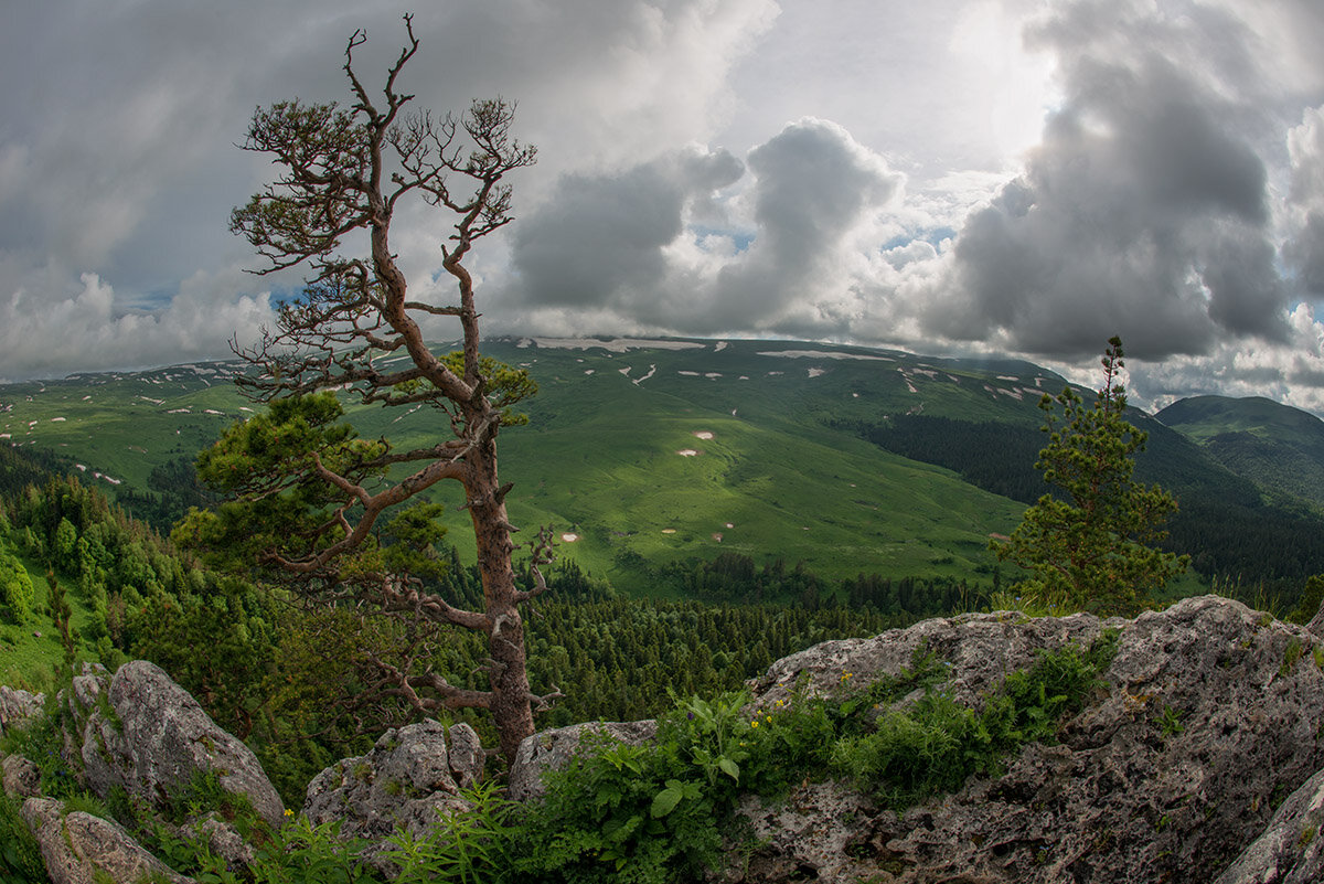 Плато заповедника Лагонаки