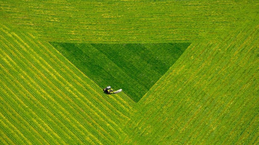 Hans Blossey/Getty Images