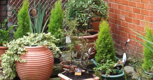 фото: flickr.com