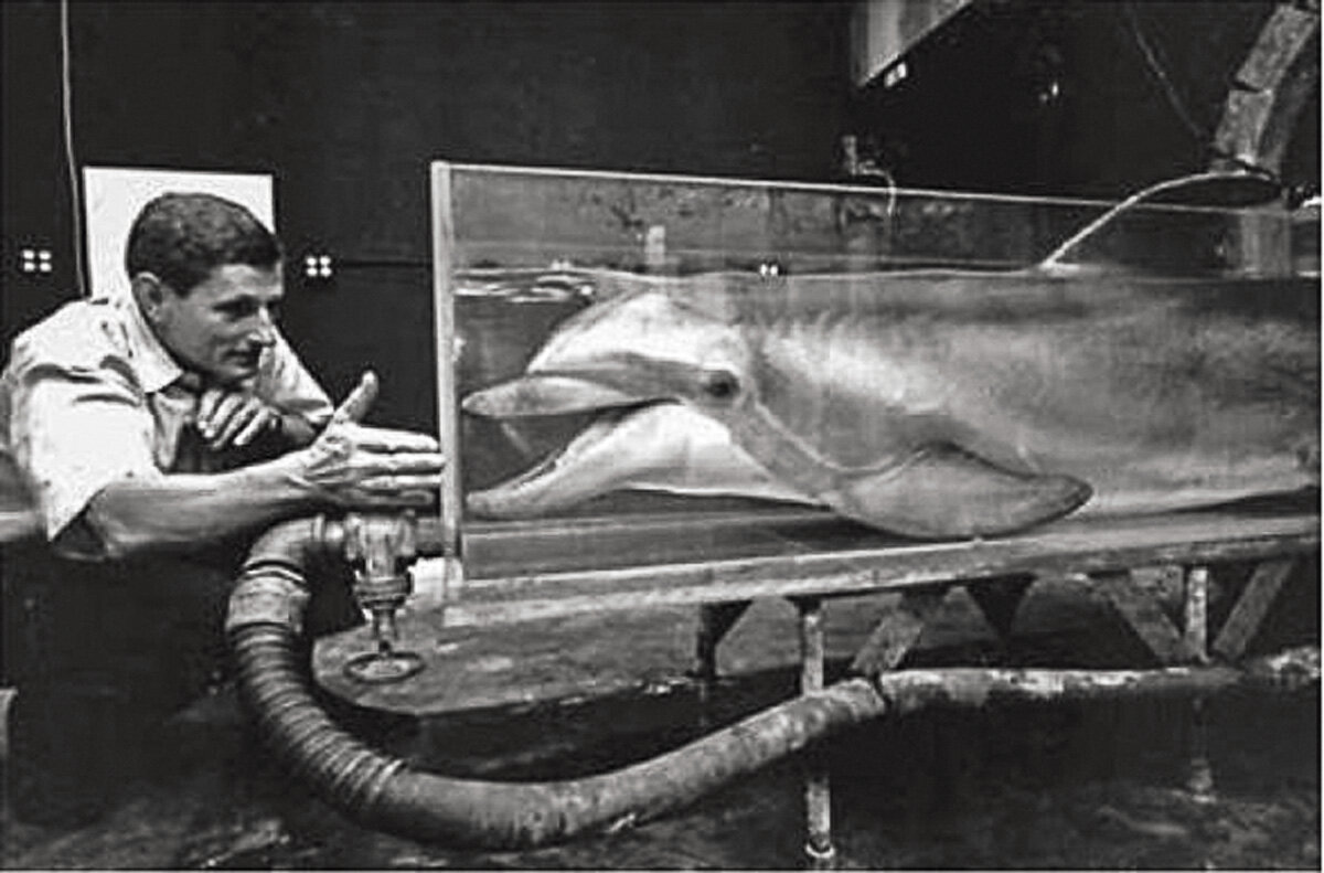 Джон Лилли пытается заговорить с дельфином