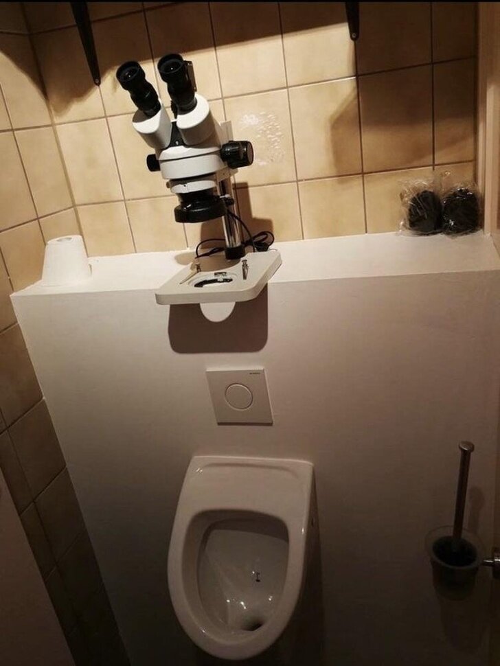 © FelisCatusRobotum / reddit  