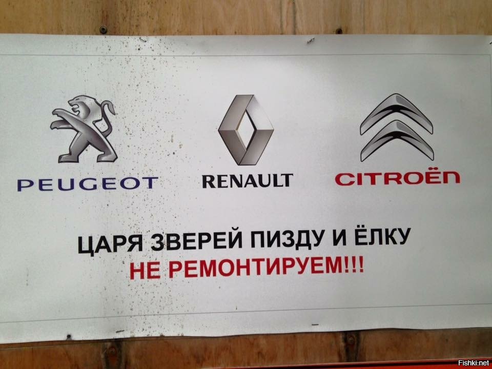 5 подержанных французских кроссоверов, которые надежны, как японцы, но дешевле. Их надо брать