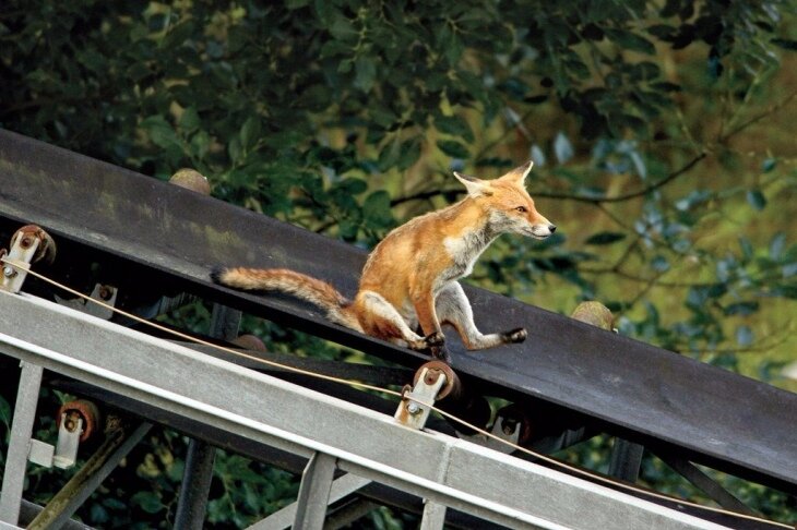  Слабо пробежаться по музеям, а потом пойти на концерт главного хайпоеда (нет, такого слова не существует) страны, чтобы послушать песни про «День рождения мамы» и спросить у Дмитрия Маликова, как ему это удается?