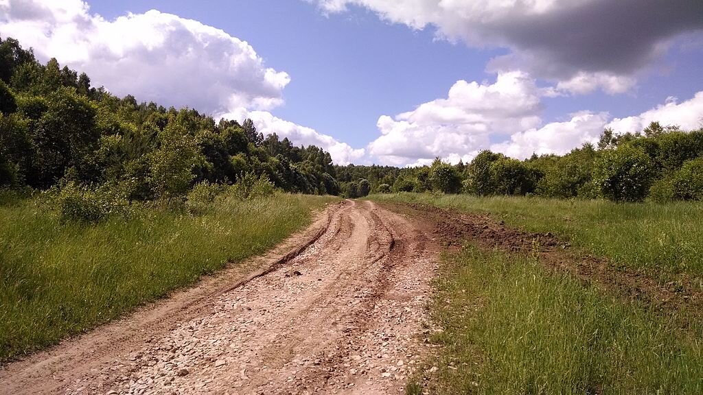 Фото: Лесная дорога под Калугой, Википедия