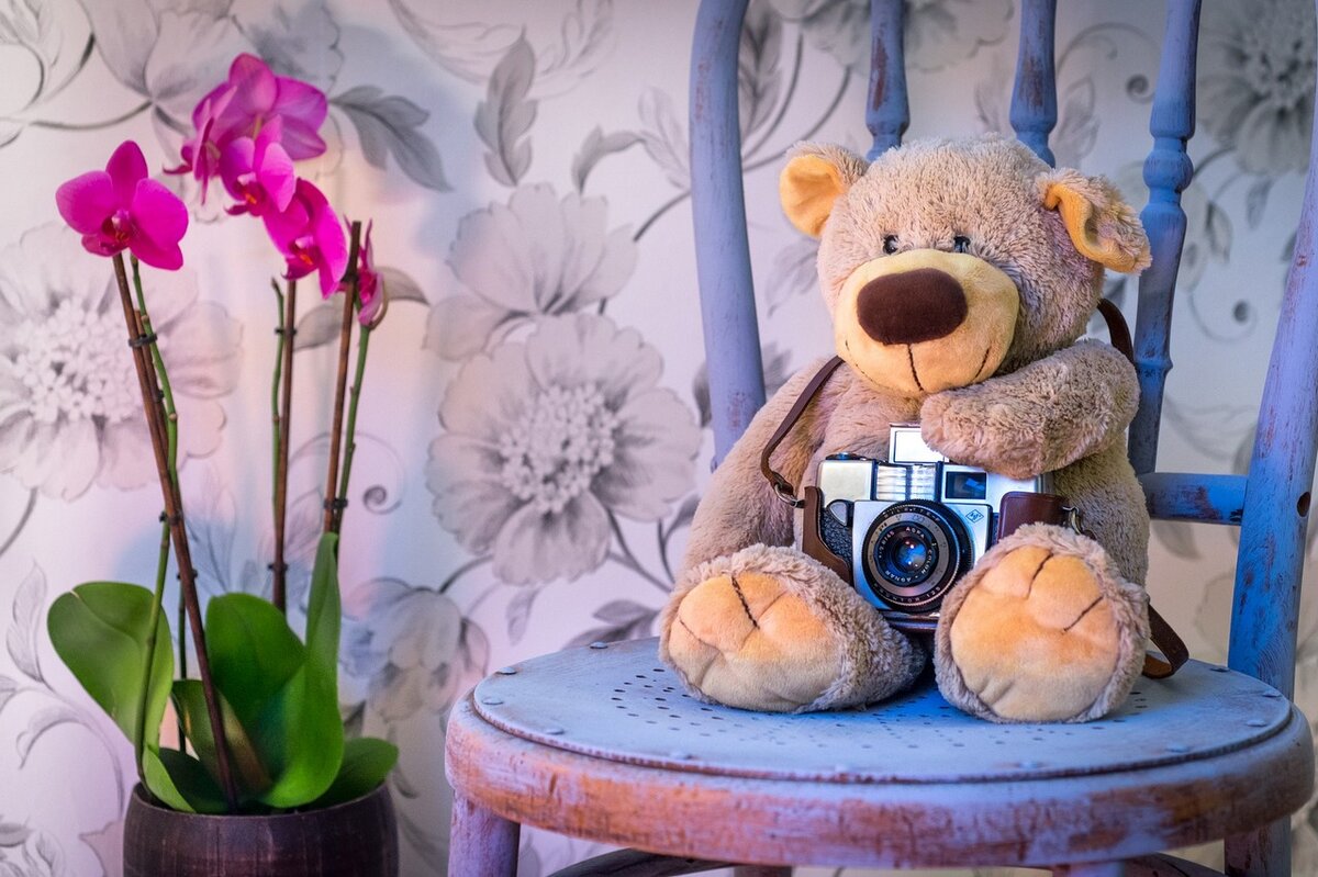 Фото: Pixabay.com