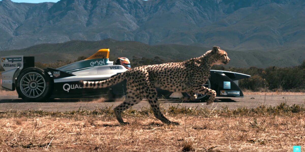 Фото: https://s0.rbk.ru/v6_top_pics/resized/1440xH/media/img/4/33/755118835225334.jpg