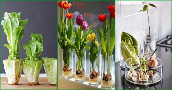 Фото: 5funfacts.com