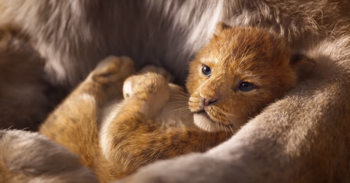 Кадр из трейлера “The Lion King Official Teaser Trailer”.