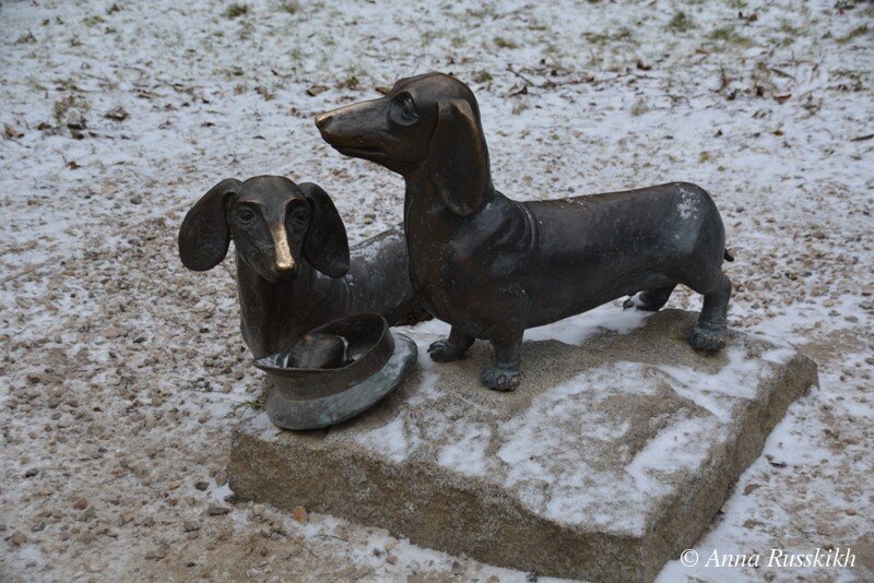 
(Хина Марковна и Бром Исаевич - любимые таксы Чехова)
