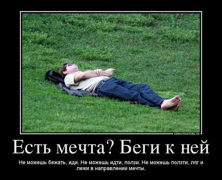 Не можешь идти ползи к своей цели. Глаголы движения идти ходить. Глаголы движения в русском языке. Анекдот про мечту. Иди к цели не можешь идти ползи.