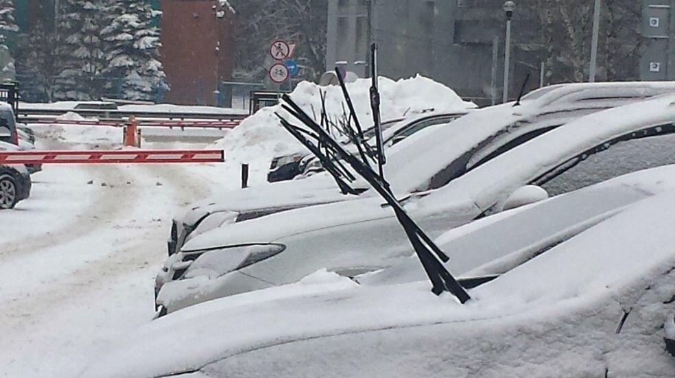 Фото с http://rus35.ru/wp-content/uploads/2018/04/Primerzayut_dvorniki_3.jpg