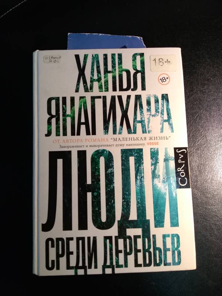 Второй роман Ханьи Янагихары «Люди среди деревьев»