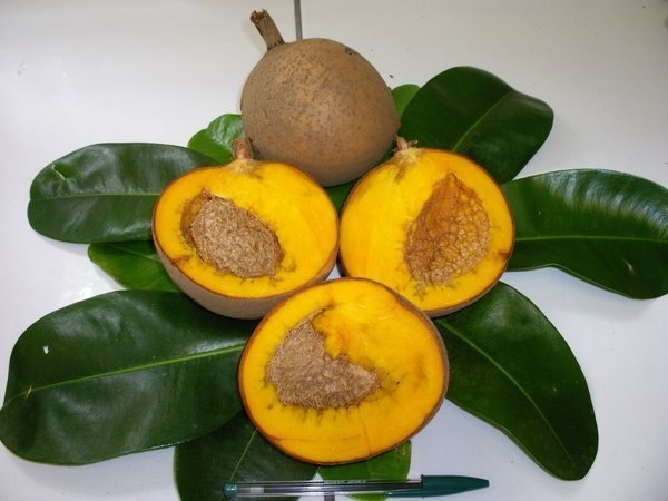 Взято на сайте Асиенда.ру